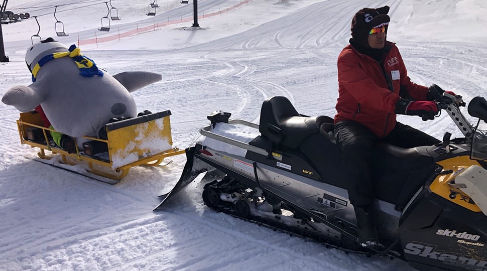 大自然の中で、スノーモービルと一緒に雪上ドライブ！
