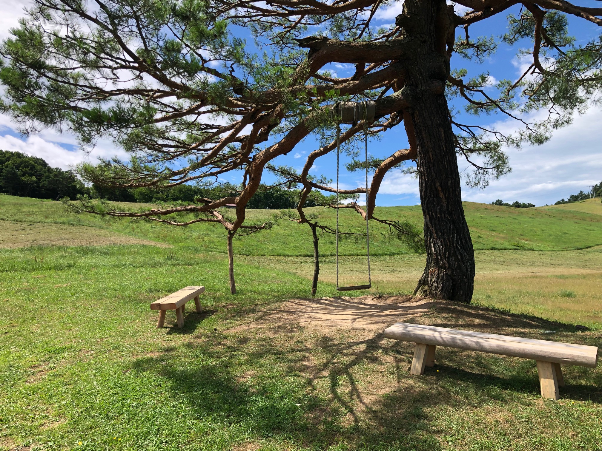 天童高原だより No.1 | 天童高原ファミリーランド・天童高原スキー場